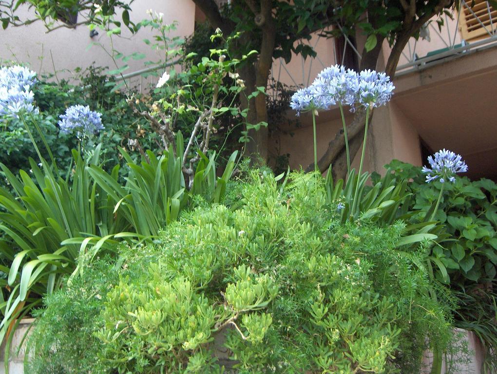 Guest House Roza ヴルボスカ 部屋 写真