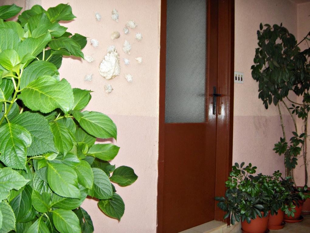 Guest House Roza ヴルボスカ 部屋 写真