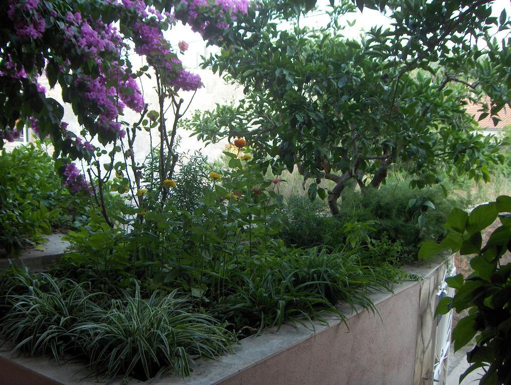 Guest House Roza ヴルボスカ 部屋 写真