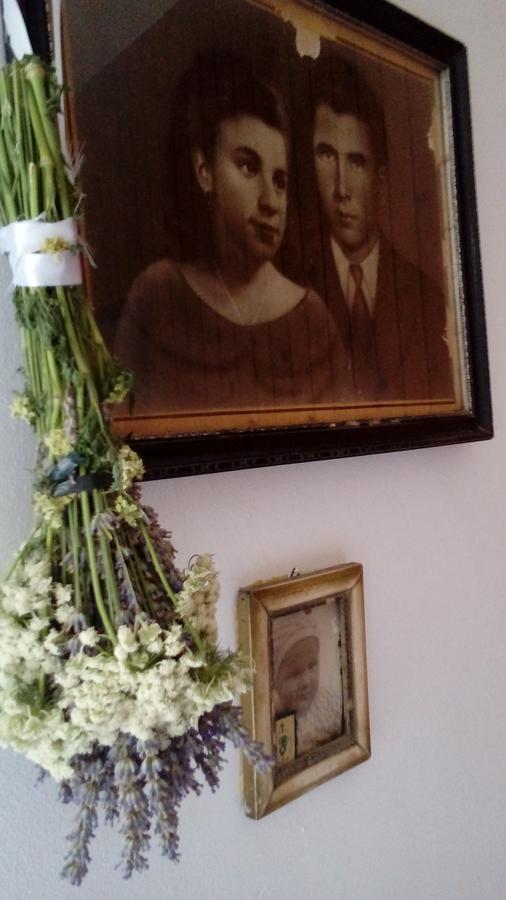 Guest House Roza ヴルボスカ エクステリア 写真