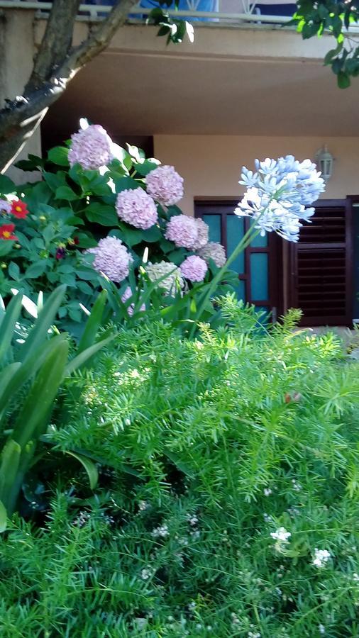 Guest House Roza ヴルボスカ エクステリア 写真